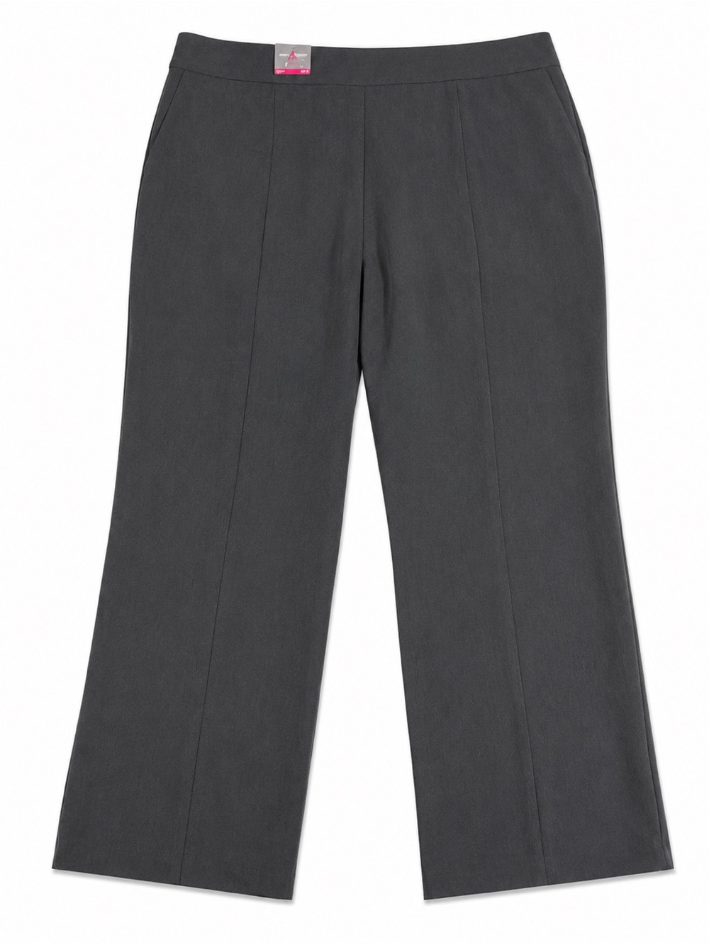 Ashley Stewart Wide-Leg Dress Pants in Charcoal